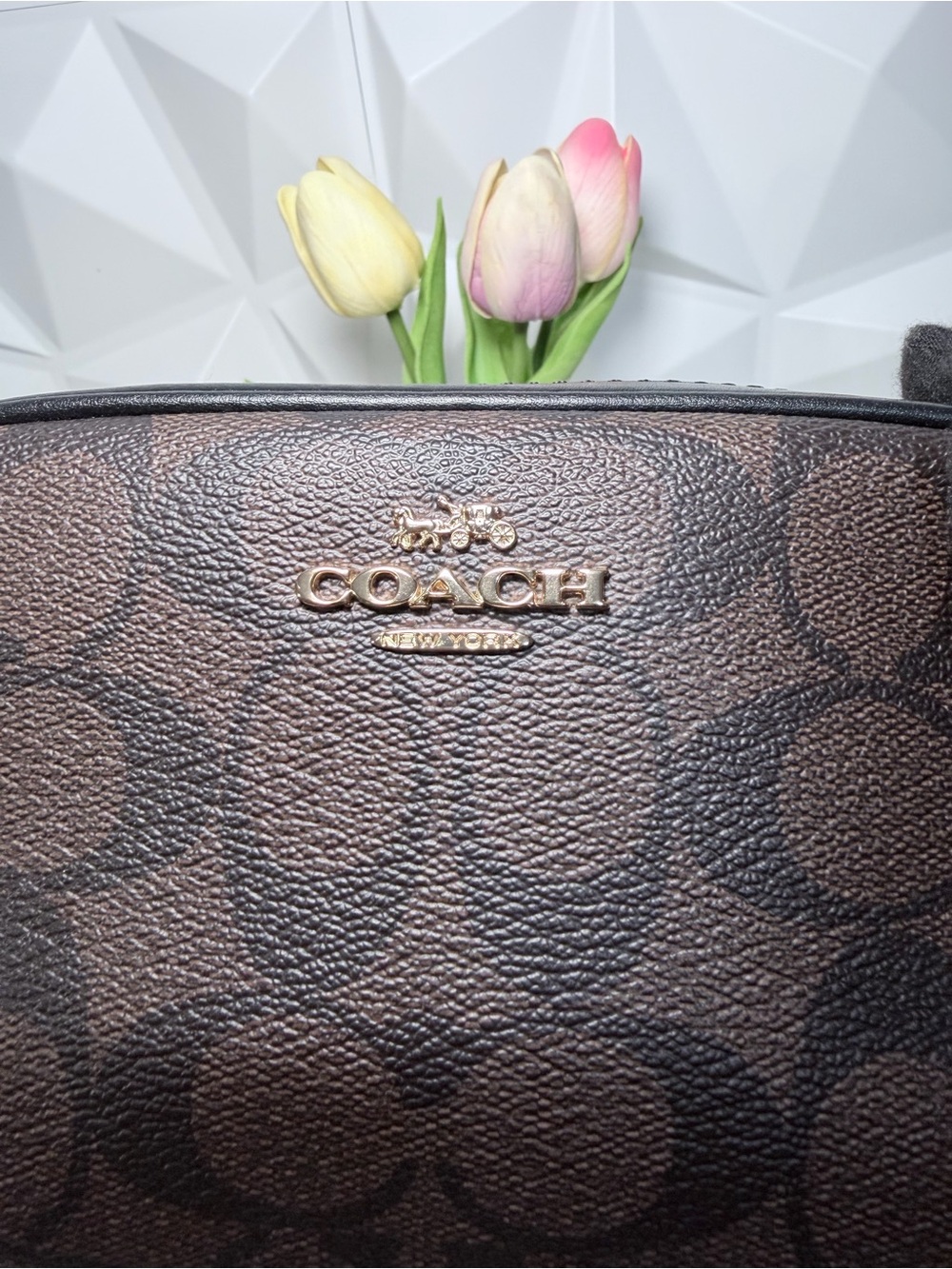 Coach convertible Crossbody with Belt Bag brown signature canvas 🤎 - Picture 5 of 15